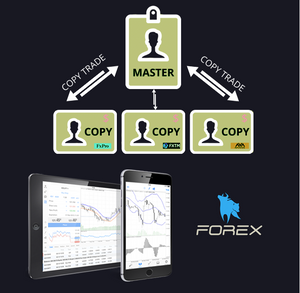copy trade forex product